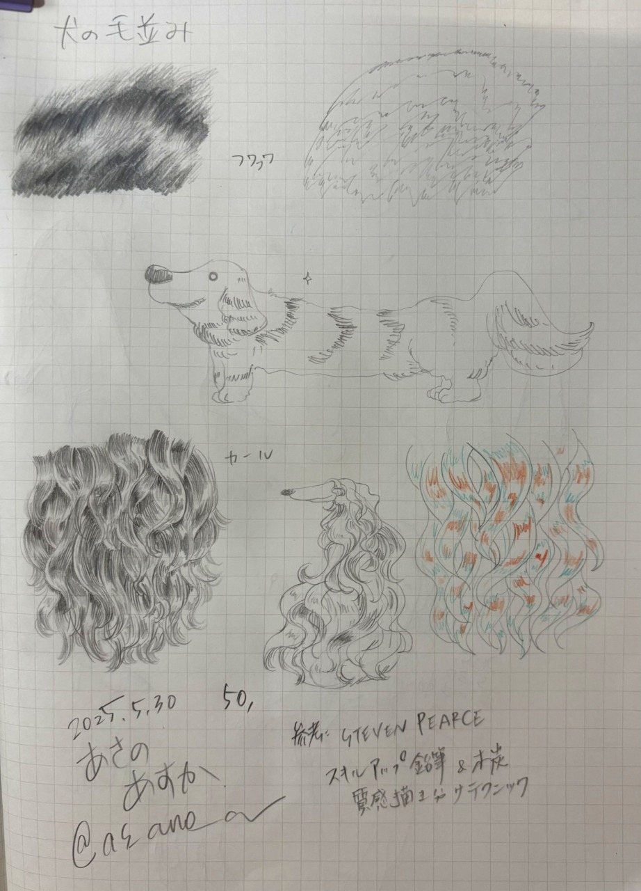 2025053119522054-admin.jpg